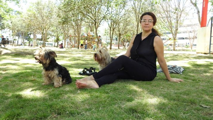 Areneros para las mascotas.