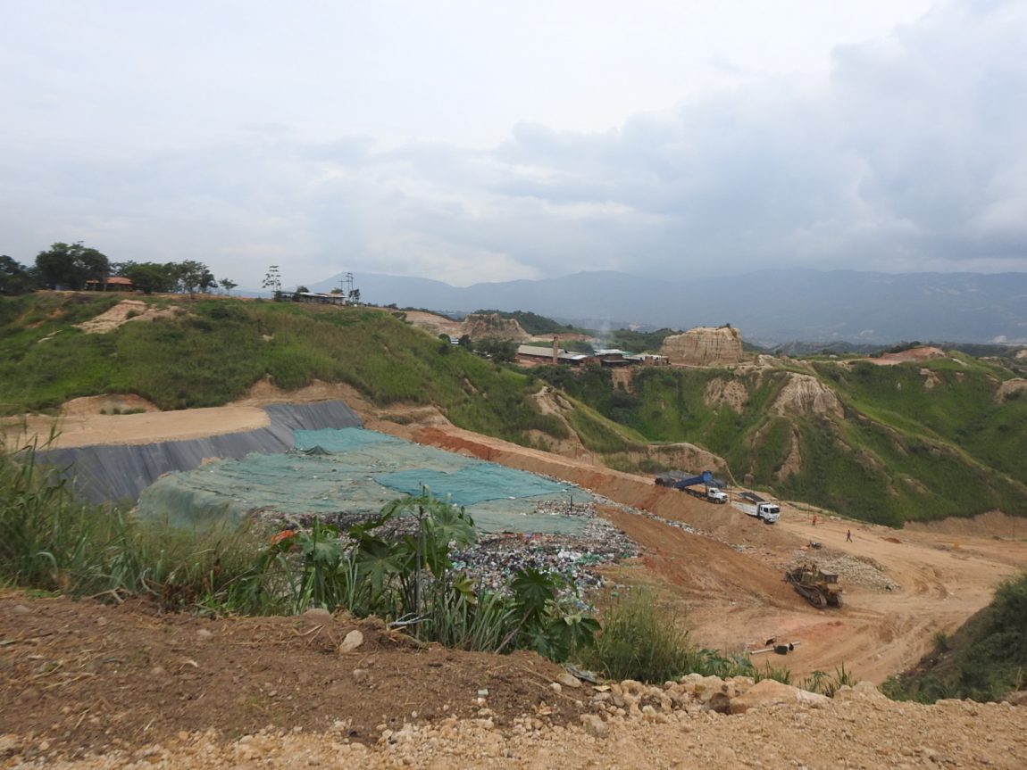 Preservación de las especies