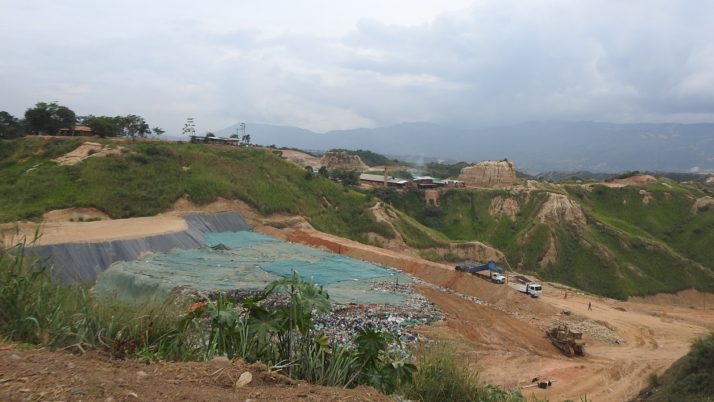 Preservación de las especies