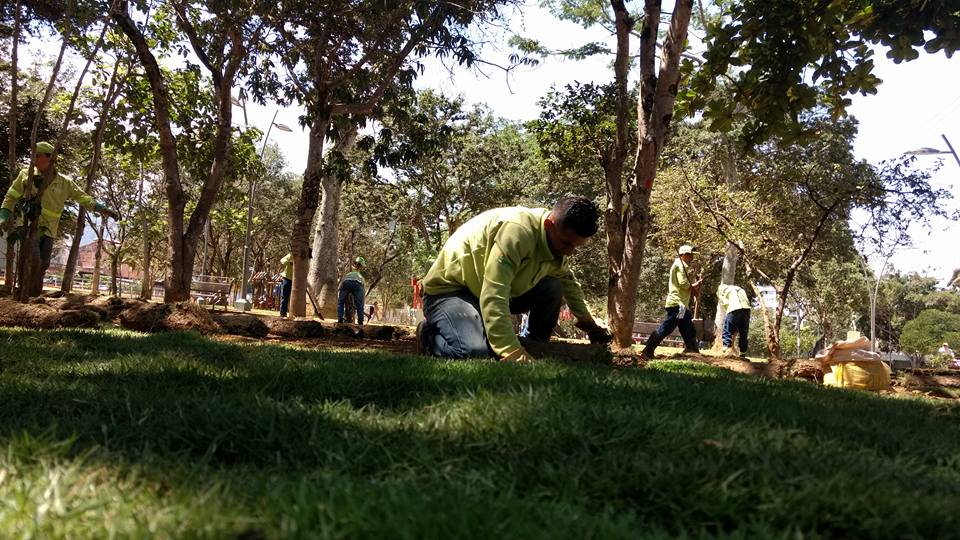 ¡8.195 metros de color verde!