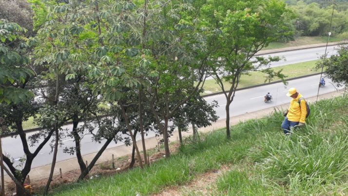 Realizamos recuperación de talud cercano al barrio La Victoria