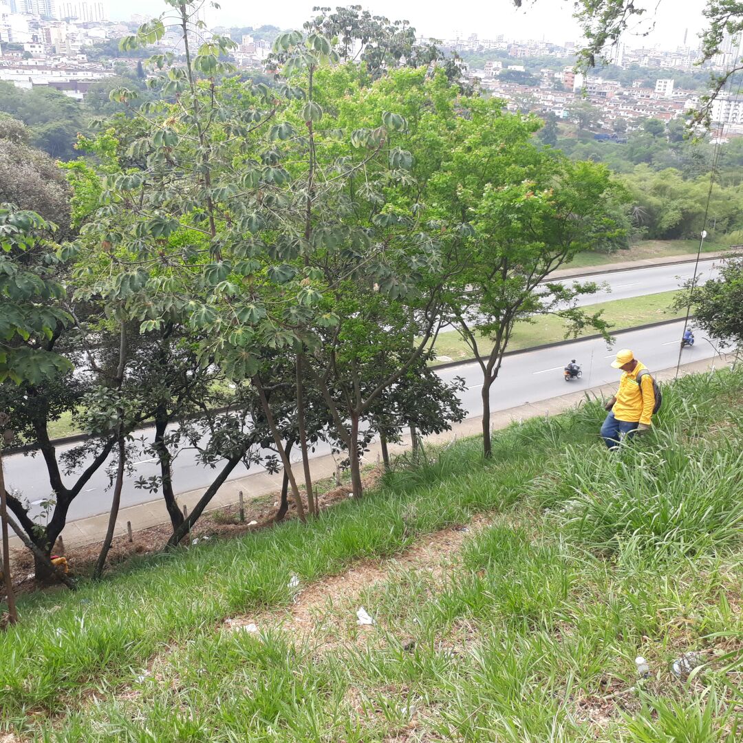 Realizamos recuperación de talud cercano al barrio La Victoria