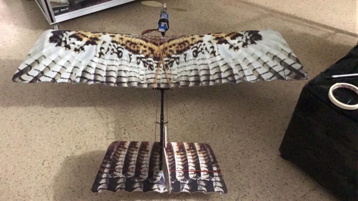 EMAB S.A E.S.P implementara un aeromodelo en forma de águila para dispersión de gallinazos en “El Carrasco”