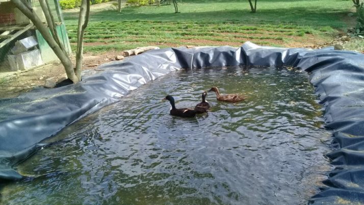BIODIVERSIDAD EN “EL CARRASCO”