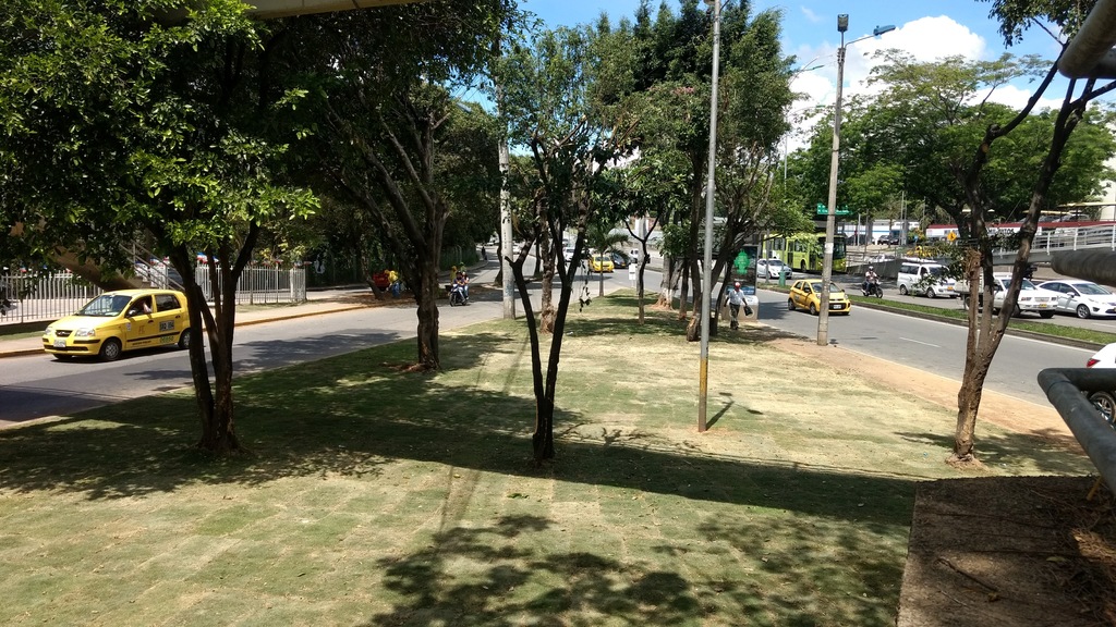 Prado Japones embellece separadores viales del puente de Provenza.