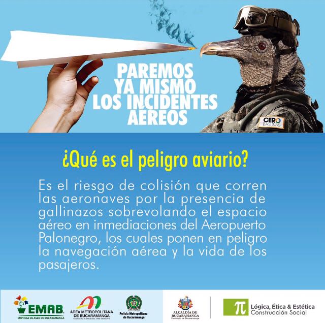 Plan de manejo ambiental, disminuyó riesgo de peligro aviario en Bucaramanga en el 30%