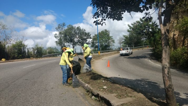 Mantenimiento de separadores viales hacen parte del mejoramiento visible de la ciudad.