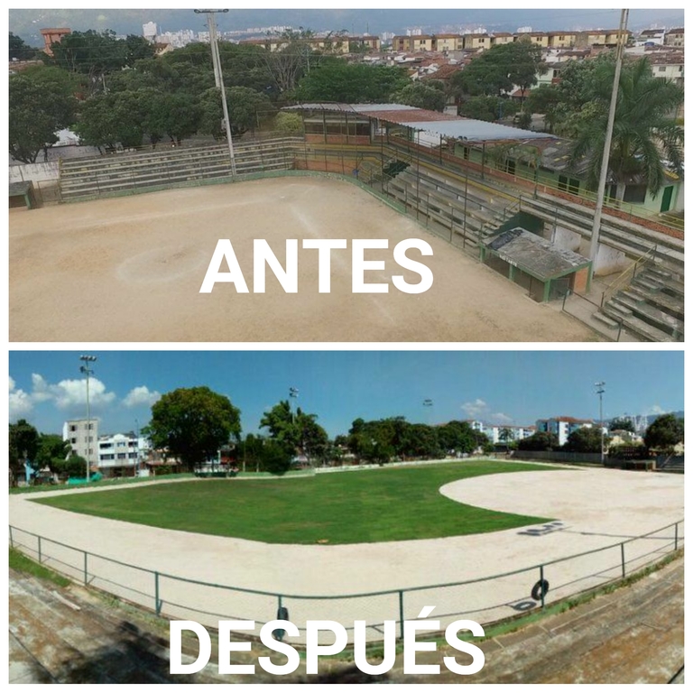 Los escenarios deportivos “se unen” al color verde del prado japonés.