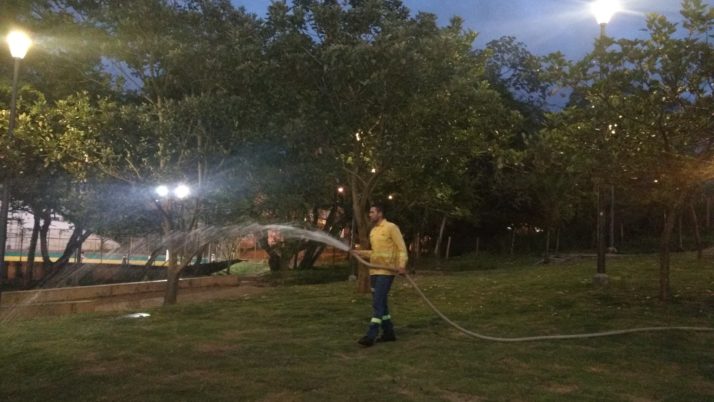 Estamos realizando labores de rocería en los 33 mil metros de prado japonés instalado.