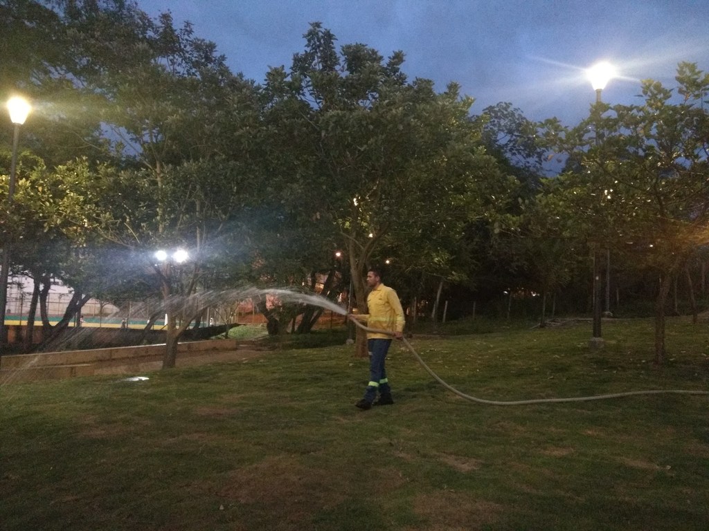 Estamos realizando labores de rocería en los 33 mil metros de prado japonés  instalado.