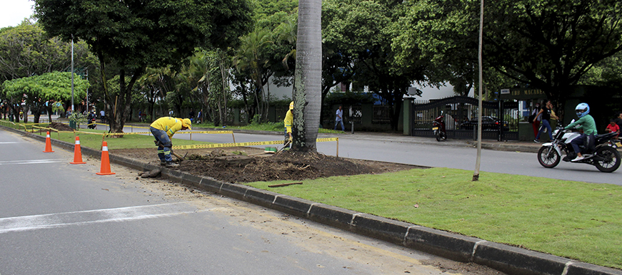 El verde realza la estética de la Ciudadela Real de Minas