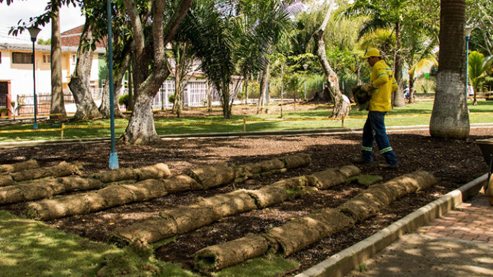Bucaramanga verde: EMAB embellece el parque Bruno Botello en el barrio Mutis
