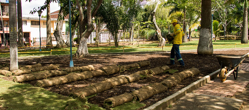 Bucaramanga verde: EMAB embellece el parque Bruno Botello en el barrio Mutis